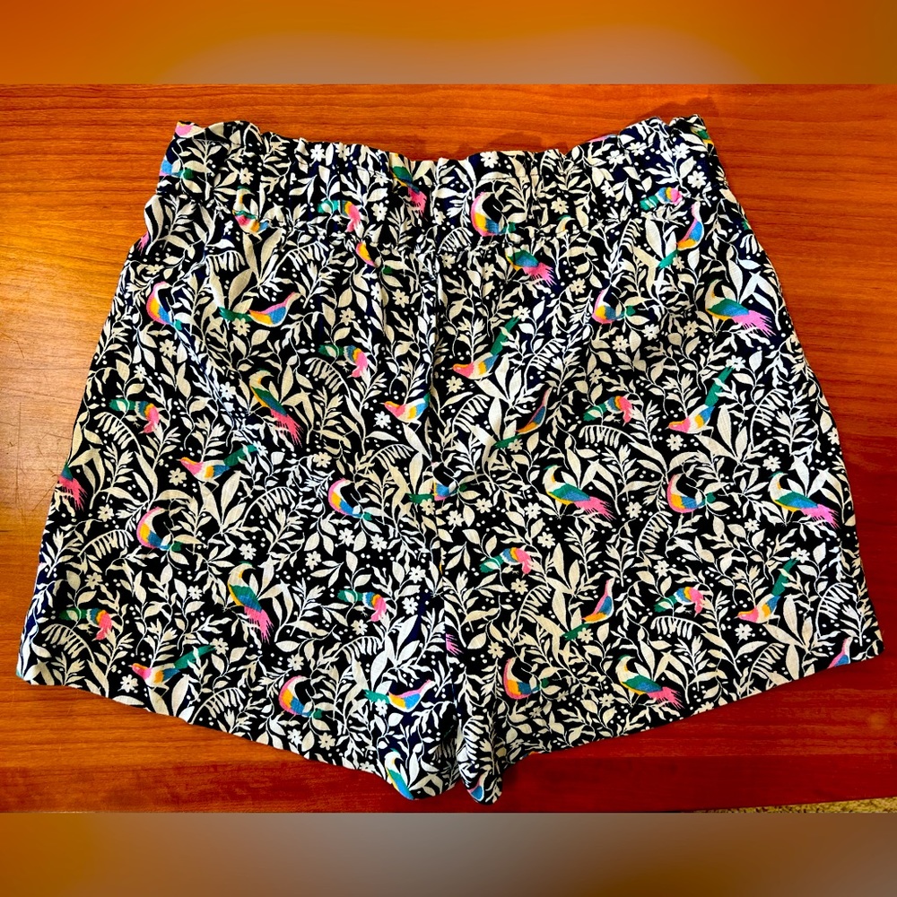 NWT Loft Shorts Size XS